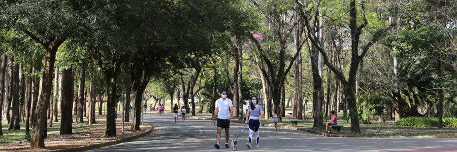 Pessoas caminham de máscaras no Parque do Carmo cercado de árvores verdes grandes